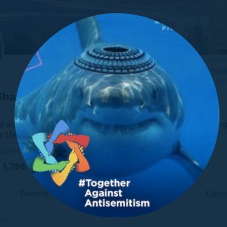 Shark Diver, Animal advocate, music lover. Zionism is the aspiration of Jews for self-determination in their ancestral homelands. You don't get to redefine it