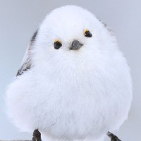 るぅ (@koku33524994318) 's Twitter Profile Photo