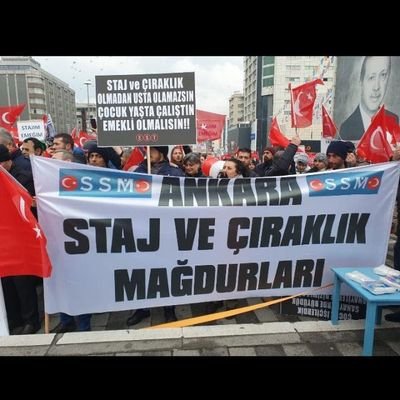 AliPekd07612953's profile picture. 