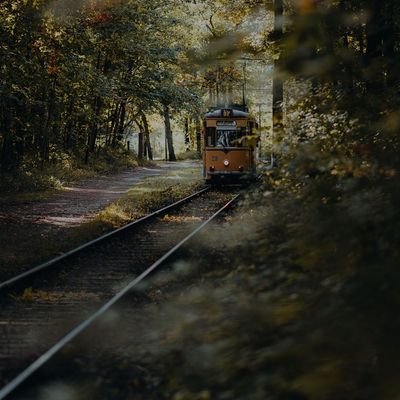 Vikashyadav1304's profile picture. Vn official twitter 💙