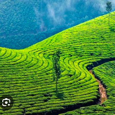 Mukund68459419's profile picture. Indian, kannadiga , Vishwa Manava ,Here  no one is important nor negligabale RT's  are not endorsement