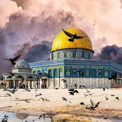 Palestine is our important issue
We are the owner of this holy land
One day Palestine will be free ❤️🙏
