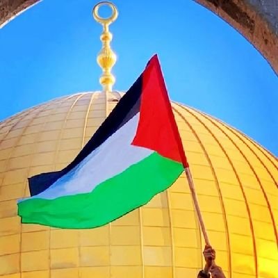 Palestine Will be free ❤️🙏
(Days of Palestine)