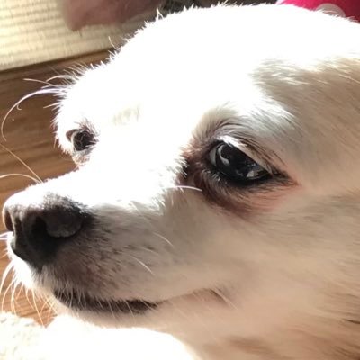 メンタルに優しいEA探し中😁一発退場にならないように慎重に🥹どこまで増やせるか挑戦中❣️無言フォローお許しください🥹EA使ってる人と繋がりたい✨