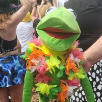 glastokermit (@glastokermit) 's Twitter Profile Photo glastokermit (@glastokermit) 's Twitter Profile Photo