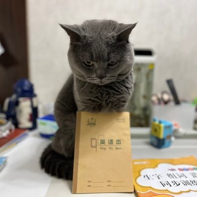 yangsen20101010's profile picture. 自由之上再无价值