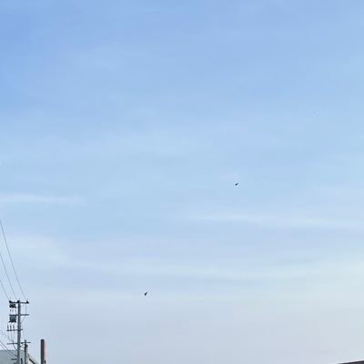 sleep_the_best's profile picture. 