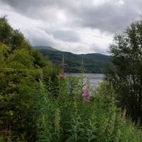 long live the noid (@neighbornosy) 's Twitter Profile