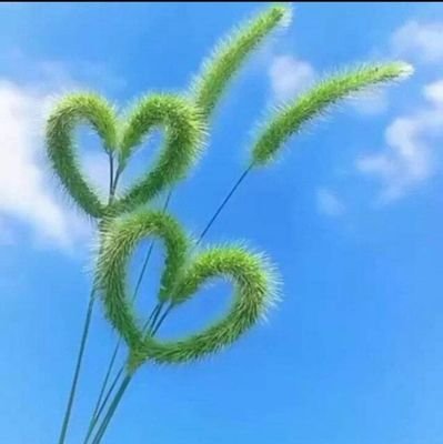 servehumanity78's profile picture. Be brave enough to heal yourself even when it hurts you badly 😎

student of BS Psychology,IIUI