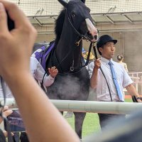 お茶漬競馬 (@umachazuke) 's Twitter Profile