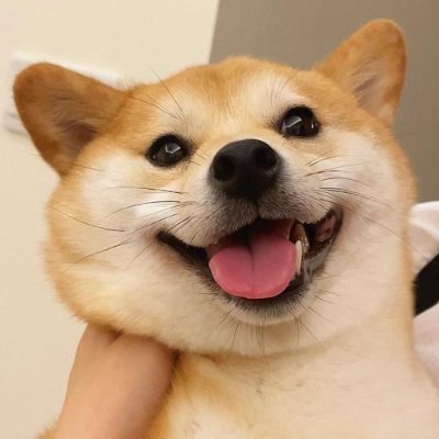 tm47721549's profile picture. Discover more and more Exciting NFTS，Famous Diamond Hand
Only collects,  Only Polish，Only Holds.defi2.bnb
https://t.co/xOPl5wBxGW