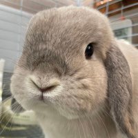 銀次 (@i0v8gl3lf491ugu) 's Twitter Profile Photo 銀次 (@i0v8gl3lf491ugu) 's Twitter Profile Photo