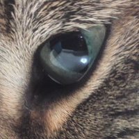 みやややーん (@my__z_k) 's Twitter Profile