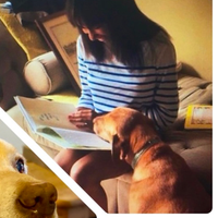 Teaching in High Heels (@whittaker_life) 's Twitter Profile Photo Teaching in High Heels (@whittaker_life) 's Twitter Profile Photo