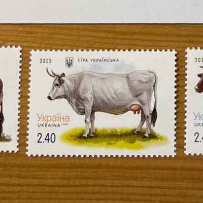 I collect stamps depicting cows, calves, bulls, cattle.