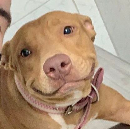 anattabelSG's profile picture. I can do all the things that I want to
You cant tell me that I don't have ability