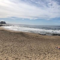 CaliMan_au (@australsurf) 's Twitter Profile