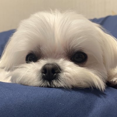 러버블유さんのプロフィール画像