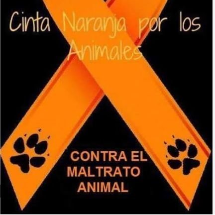 Vegetariana, animalista, antitaurina. Al ayudar a un animal no vas a cambiar al mundo, pero cambiaras el mundo para el.