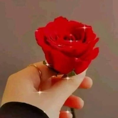 alazazy71535402's profile picture. 