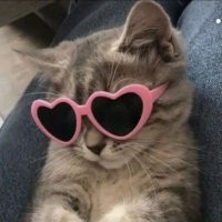 ❤🧡💛💚💙 (@itstrawby98) 's Twitter Profile Photo ❤🧡💛💚💙 (@itstrawby98) 's Twitter Profile Photo