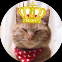 ããªãª (@tj06231) 's Twitter Profile Photo ããªãª (@tj06231) 's Twitter Profile Photo