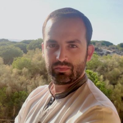 Ignacio_Colomer's profile picture. Tenured Scientist IQOG-CSIC