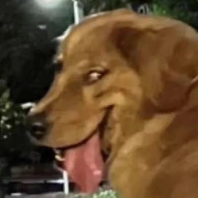 221Bachcira's profile picture. 6