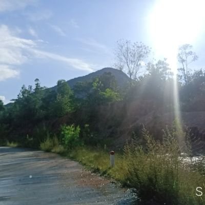 botdam69307338's profile picture. 