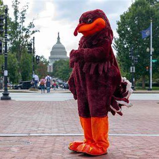 DistrictHokie's profile picture. Sports Enthusiast and Indie Rock Junkie. #HokieNation #Broncos #Orioles #CAPS