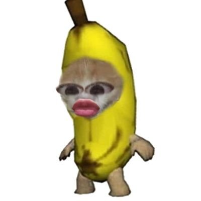 Lytech_03's profile picture. 