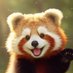 SocialFi Panda (@socialfi_panda) Twitter profile photo SocialFi Panda (@socialfi_panda) Twitter profile photo
