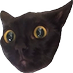Will Pilkington (@misterpilky) Twitter profile photo Will Pilkington (@misterpilky) Twitter profile photo