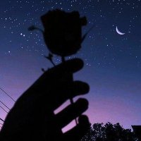 Maulik Panchal (@itz_maulik) 's Twitter Profile