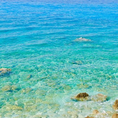 Jackamous2020's profile picture. 