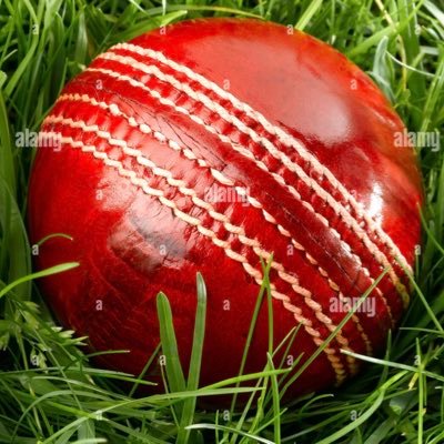 Cricket betting tipster,supplying betting tips for the punter to beat the bookie.🏏. Test match cricket the pinnacle 🏏