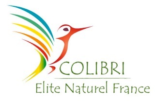 Zumos 100% fruta ecológicos Gourmet ELITE NATUREL y productos alimenticios ecológicos .  Publicidad http://t.co/T0Zm93DgK5
Blog: http://t.co/SUIKm7m3jj