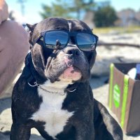 chris (@moosejuice1138) 's Twitter Profile