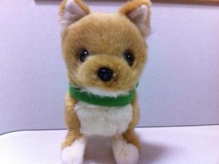 korokorokomi's profile picture. 50代男性、千葉県市川市出身、世田谷区在住です。プロ野球は千葉ロッテを応援してます。 好きな音楽はYMO、そしてメンバー（坂本龍一、高橋幸宏、細野晴臣）、あとは山下達郎。 おととしから囲碁を勉強して今１１級。先日「Mac Book Pro」を購入しハマってます。