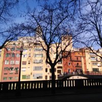 jota felip (@felip067) 's Twitter Profile