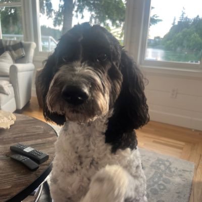 GrantLynden's profile picture. I Like Rocks and Plants