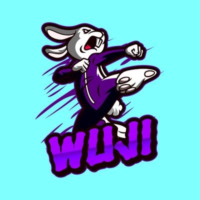 Sports, Lore and more. / Variety Twitch Streamer / LIVE 🚨 (Weekdays 1:00 PM ET)  (wu-jee)  #Wujilive #RavensFlock