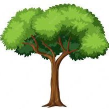 tree_just40883's profile picture. 