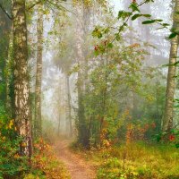 Munkiki (@munkiki4) Twitter profile photo