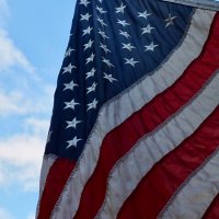 Concord1775🇺🇸☘️ (@concordid1775) 's Twitter Profile