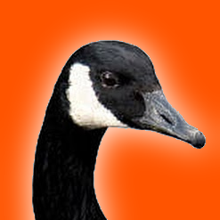 _portly_'s profile picture. 