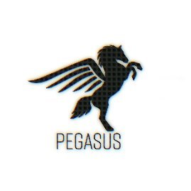 pegasus_1337 Profile Picture