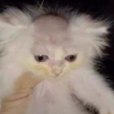 Dis souvent des bêtises chez Horty_
Pur sang CrackHeads - PouicFanAccount Basically Shitpost and Ecological thoughts He / Him / 25 yo CataSchtroumpf ⏚⏚⏚