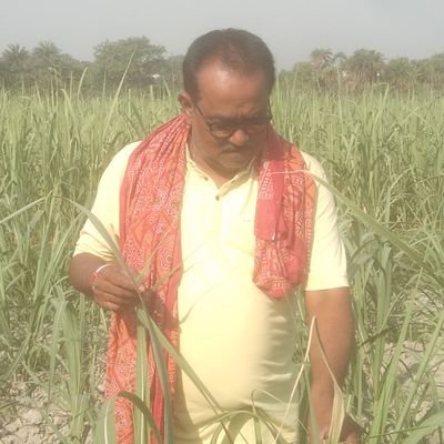 Dy mgr cane
Bharat Sugar Mills
Sidhwalia Bihar