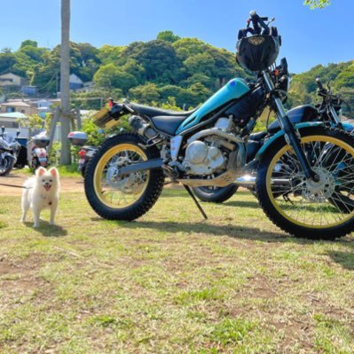 趣味:ポポ🐶トレールで世界征服を目指す🌎レーサーが不利なブルーオーシャンで戦い世界中のバイクをトレールにする。手始めにレーサーを山奥でガス欠させ片っ端から ブッ●します。トリッカー1台所有 ツーリングとか、たま〜にレース（クロスカップ）など。53年式。勝負は中古部品の入手し易さ燃費や犬とツーリングなど